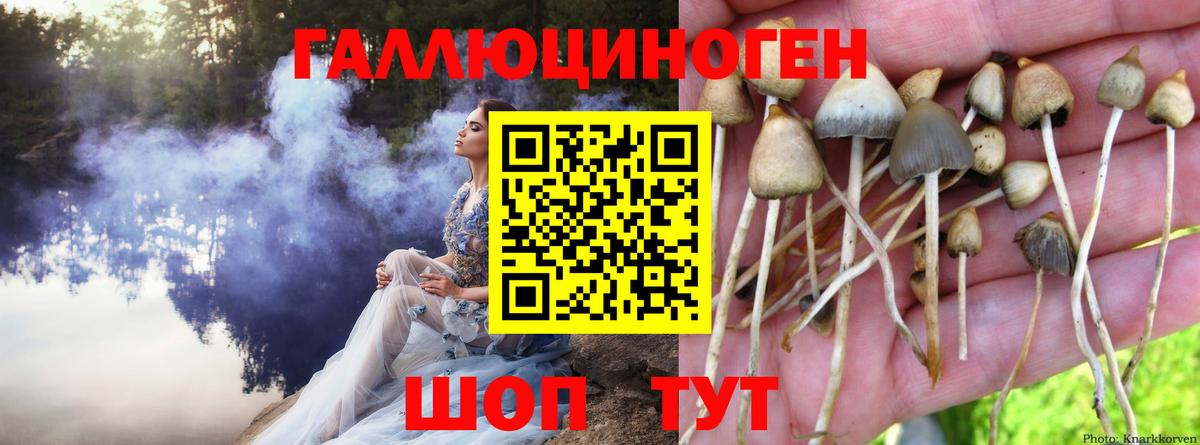 Галлюциногенные грибы мухоморы  Вход с VPN  Галлюциногенные грибы MAGIC MUSHROOMS  Похвистнево 